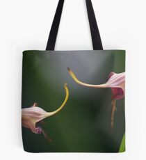 What Shall We Do Now Tote Bag