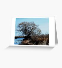 Point Pelee, Ontario Greeting Card