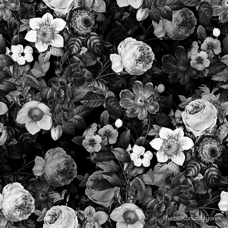 "Black and White Garden" by Burcu Korkmazyurek Redbubble