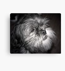 Gandalf ! Canvas Print