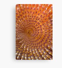 Psychedelic Canvas Print