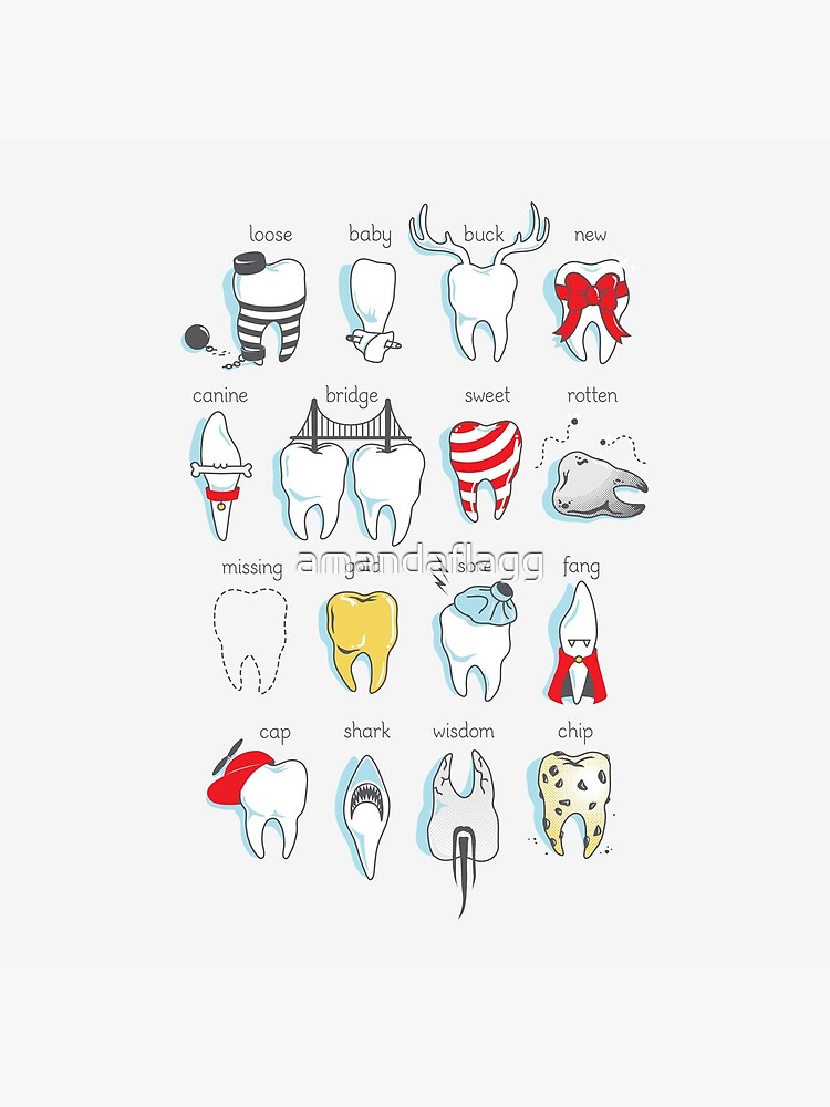 Dental Definitions by amandaflagg
