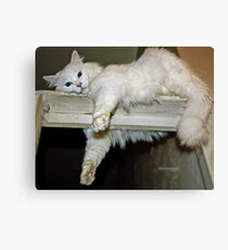 Mikey's Hangout Canvas Print