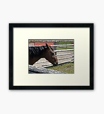 Leave Me Alone Framed Print