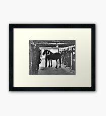 Undressing In The Barn Framed Print