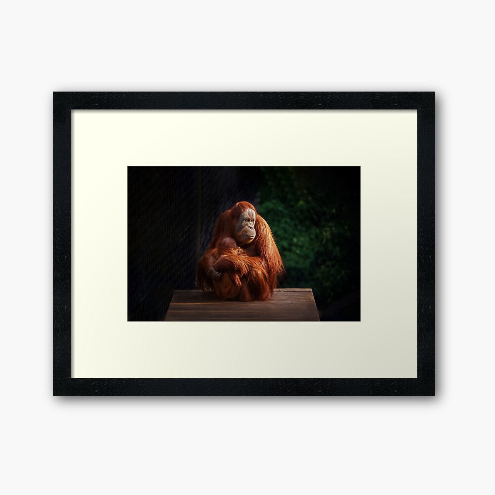 Dinner Time (3x2 crop) Framed Art Print