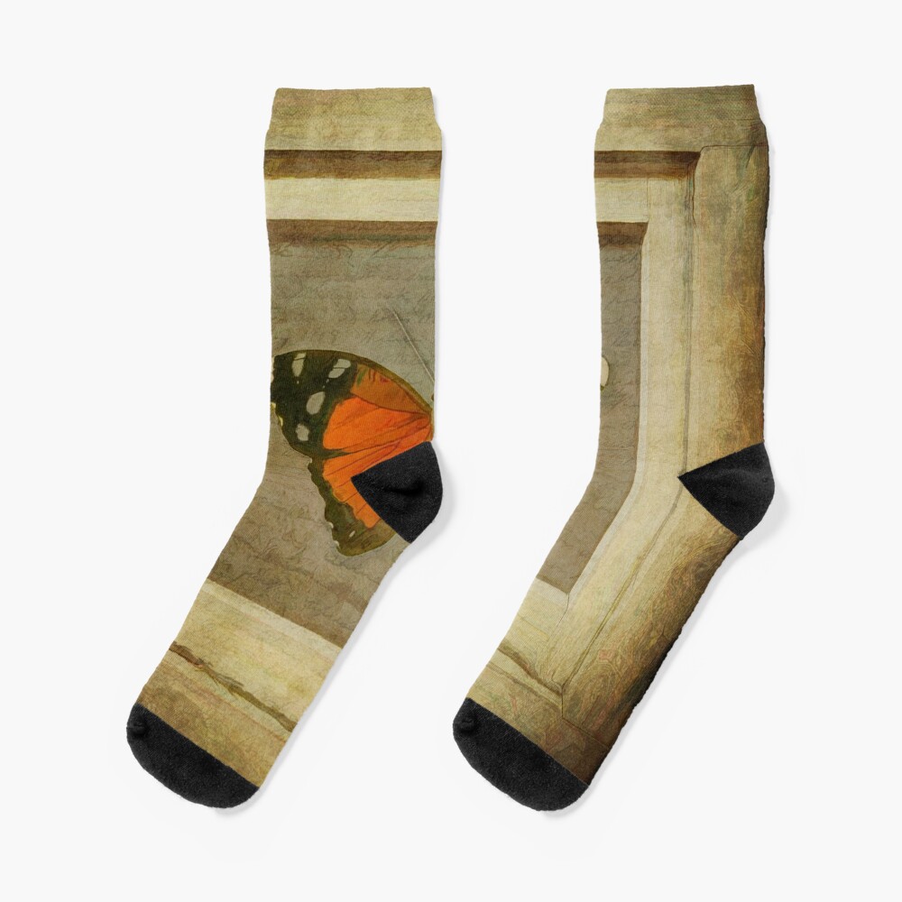 Butterfly in a Frame Socks