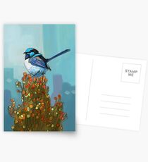 Blue Wren on Bush Postcards