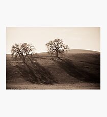 Long Shadows of Winter Photographic Print