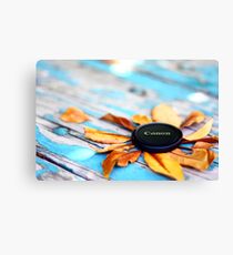 Canon Canvas Print