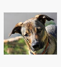 Dude the obsure Photographic Print