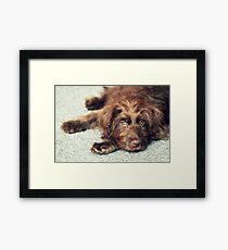 Mulligan Relaxing Framed Print