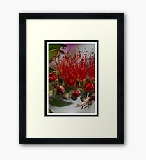 Bottle Brush Framed Print