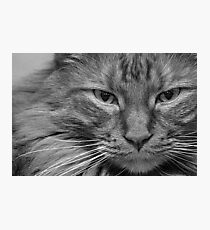 Legolas Photographic Print