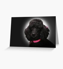 Roxanne Greeting Card