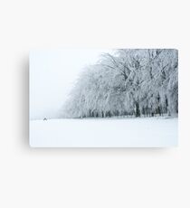 Le Monde Sucré a Bastogne Canvas Print