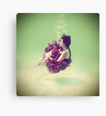 Embryo Canvas Print