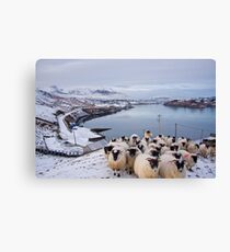 whatsup Canvas Print