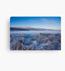 frosty Canvas Print