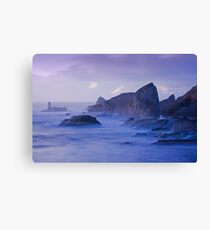 midnight Canvas Print