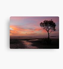 Whispers of Evening - Wellington Point Canvas Print
