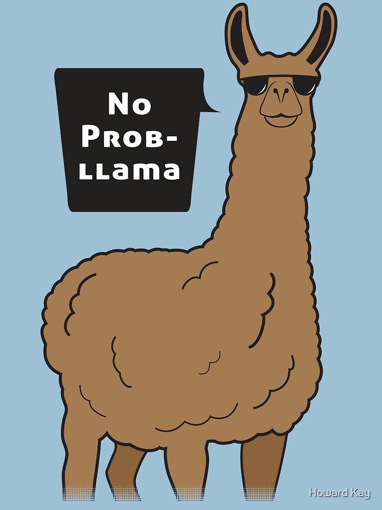 No Prob Llama T Shirt By Hmaxkay Redbubble