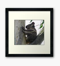 Location Always Known Framed Print