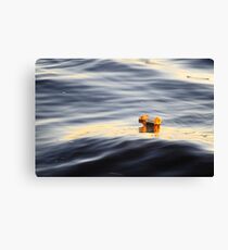 Flotsam Canvas Print