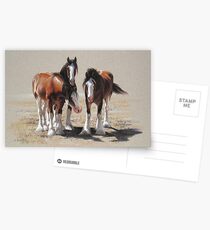Out Of Work Postcards