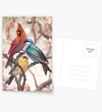 Birds Postcards