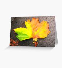 Autumn leaf Greeting Card