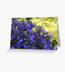 English Garden Greeting Card