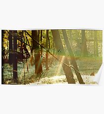 Kindisch Gambino Camp Poster