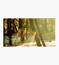 Childish Gambino Camp Photographic Print