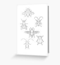 Insect Invasion Greeting Card