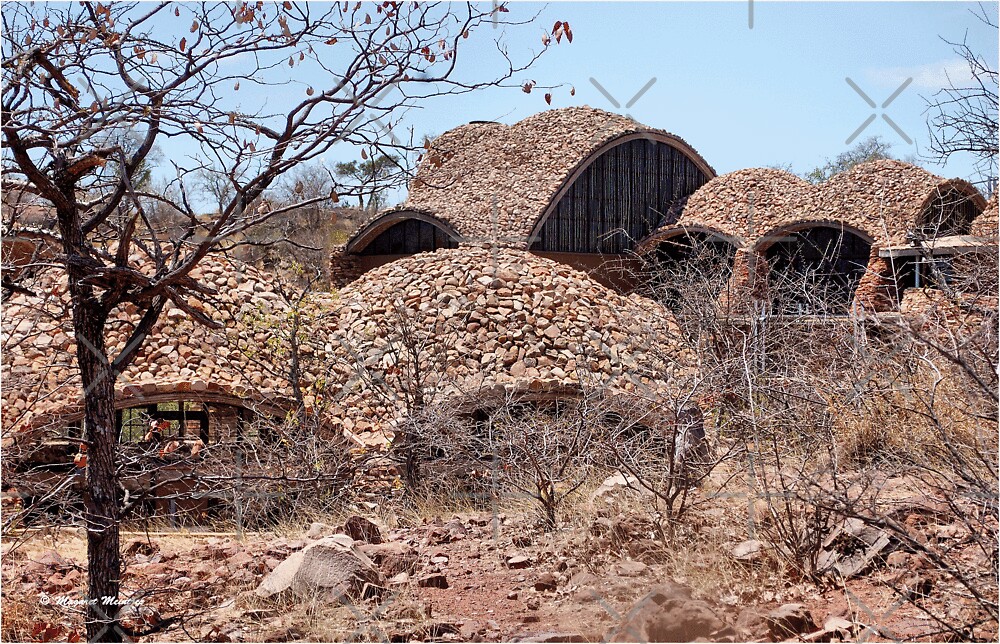 Series Mapungubwe National Park World Heritage Site By Magriet