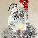 'Bertie Wooster' by Lynda Robinson