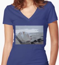 Kota on the Shore Women's Fitted V-Neck T-Shirt