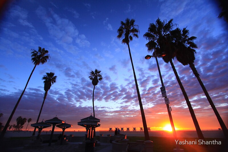 "Venice Beach Sunset" Canvas Prints by Yashani Shantha 