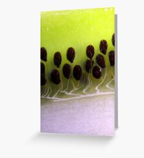 Kiwi Greeting Card