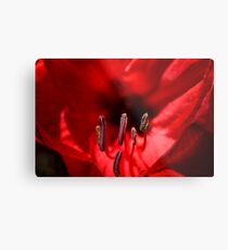 Sensuality Metal Print
