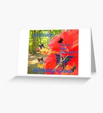 Feature Fairy Greeting Card
