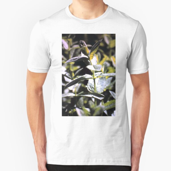 Pfeffer-Minze Slim Fit T-Shirt