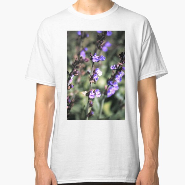 Blüte des Salbei Classic T-Shirt