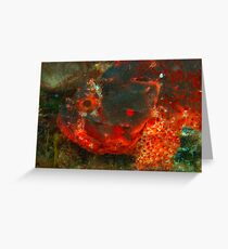 scorpionfish rottnest island reef Greeting Card