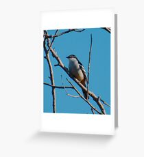 SC ~ WO ~ TRILLER ~ Varied Triller by David Irwin 131019 Greeting Card