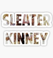 sleater kinney Sticker