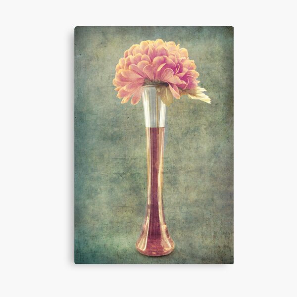Estillo vieillot t Canvas Print