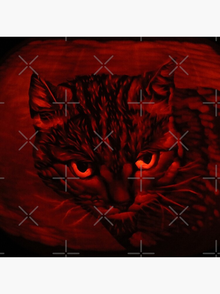 Toast the Tabby Cat on a Pumpkin by MotiBlack