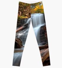 Shawnee Falls Under Fall's Colors Leggings